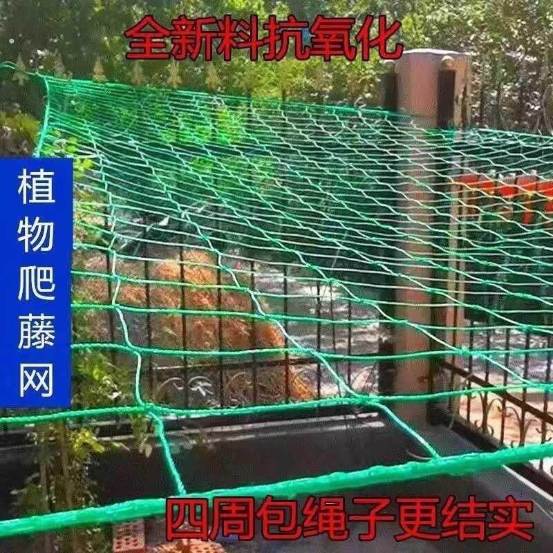 爬藤网种植网家用户外庭院丝瓜百香果植物攀爬架园艺网爬藤网绳子