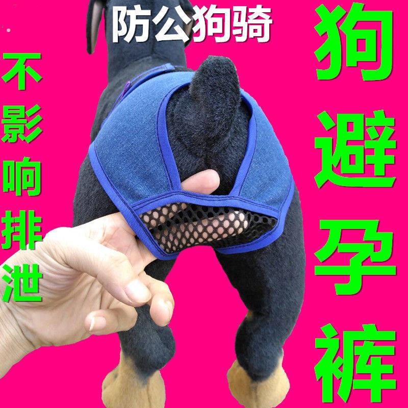 母狗生理裤子狗狗避孕月事裤衣服装宠物防骚扰狗绝育例假狗防交配
