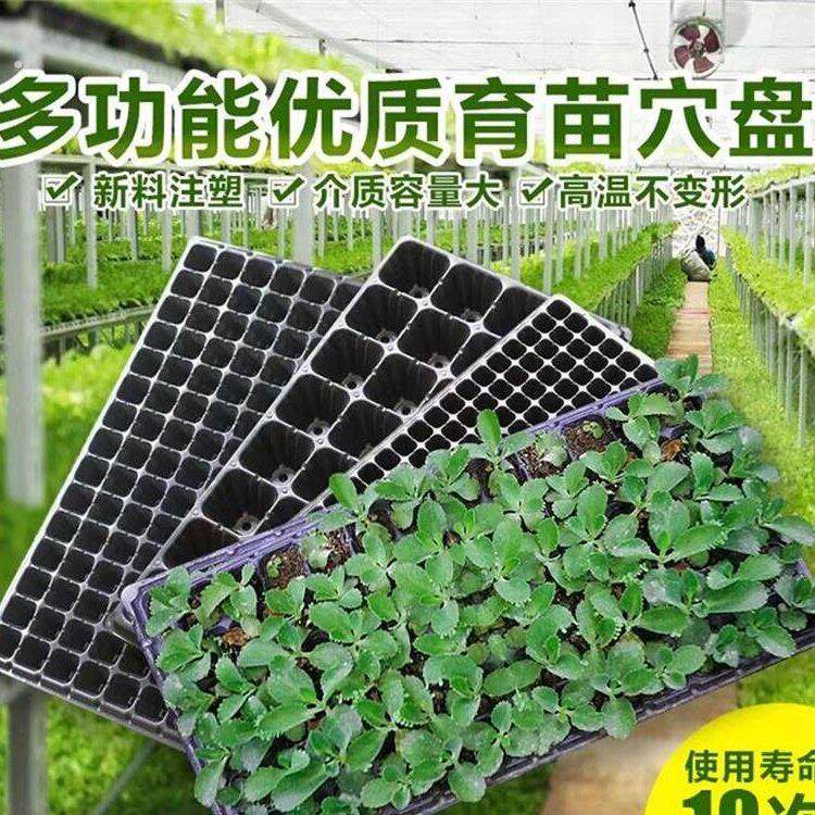厂家直销托盘培育苗盆优质格子扦插塑料育苗箱播种器菜园种菜培育
