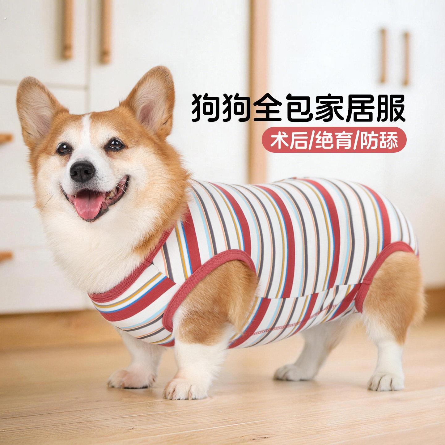 宠物狗狗薄款衣服夏四脚背心母狗绝育术后服防舔防掉毛柯基中型犬