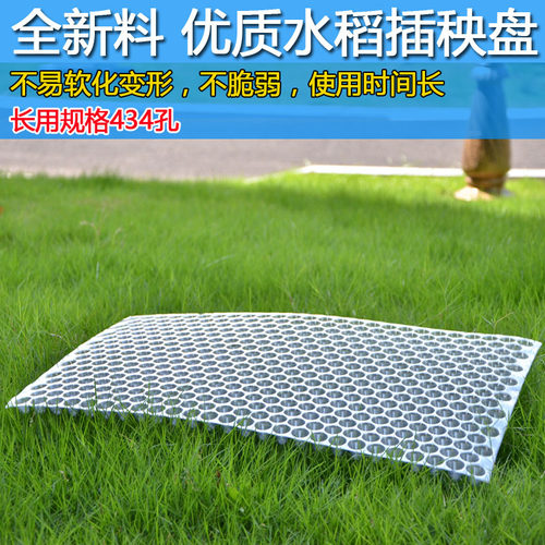 塑料水稻育秧盘9寸机插平盘塔式手抛稻苗秧盘谷物育苗盆透明434孔