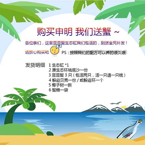圣诞节礼物迷你豆豆蟹桌面可爱系小宠物不喂食生态系统缸造景小号