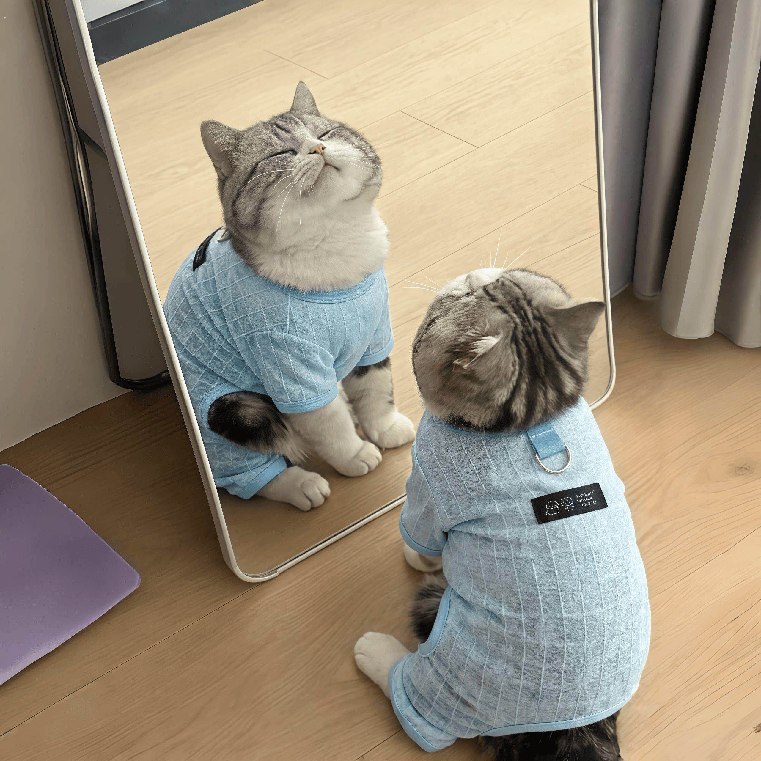 猫咪衣服夏季网纱镂空降温凉凉衣四脚衣防掉毛睡衣中小型犬家居服