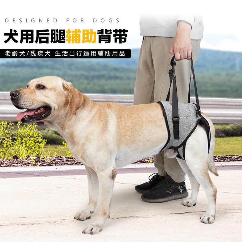 跨境热销宠物用品受伤狗狗后腿辅助背带老龄受伤犬康复带辅助