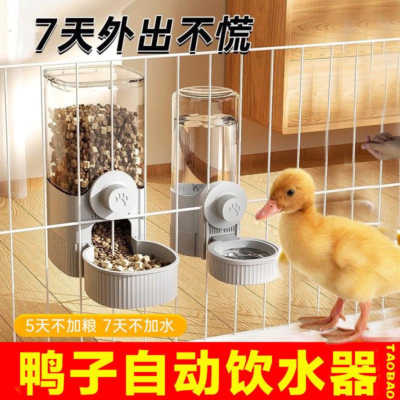 小鸭子自动饮水器喂食器挂式防打翻柯尔鸭芦丁鸡食盆水壶吃饭的碗