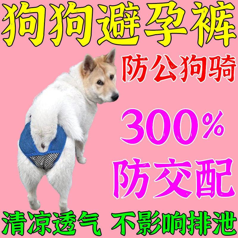 狗狗避孕裤母狗防交配神器狗发情裤防交配裤生理裤可排泄裤防骚扰