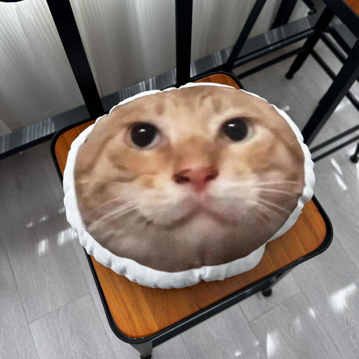 耄耋抱枕圆头馒头抱枕搞怪猫解压生日礼物送朋友闺蜜家居创意玩偶