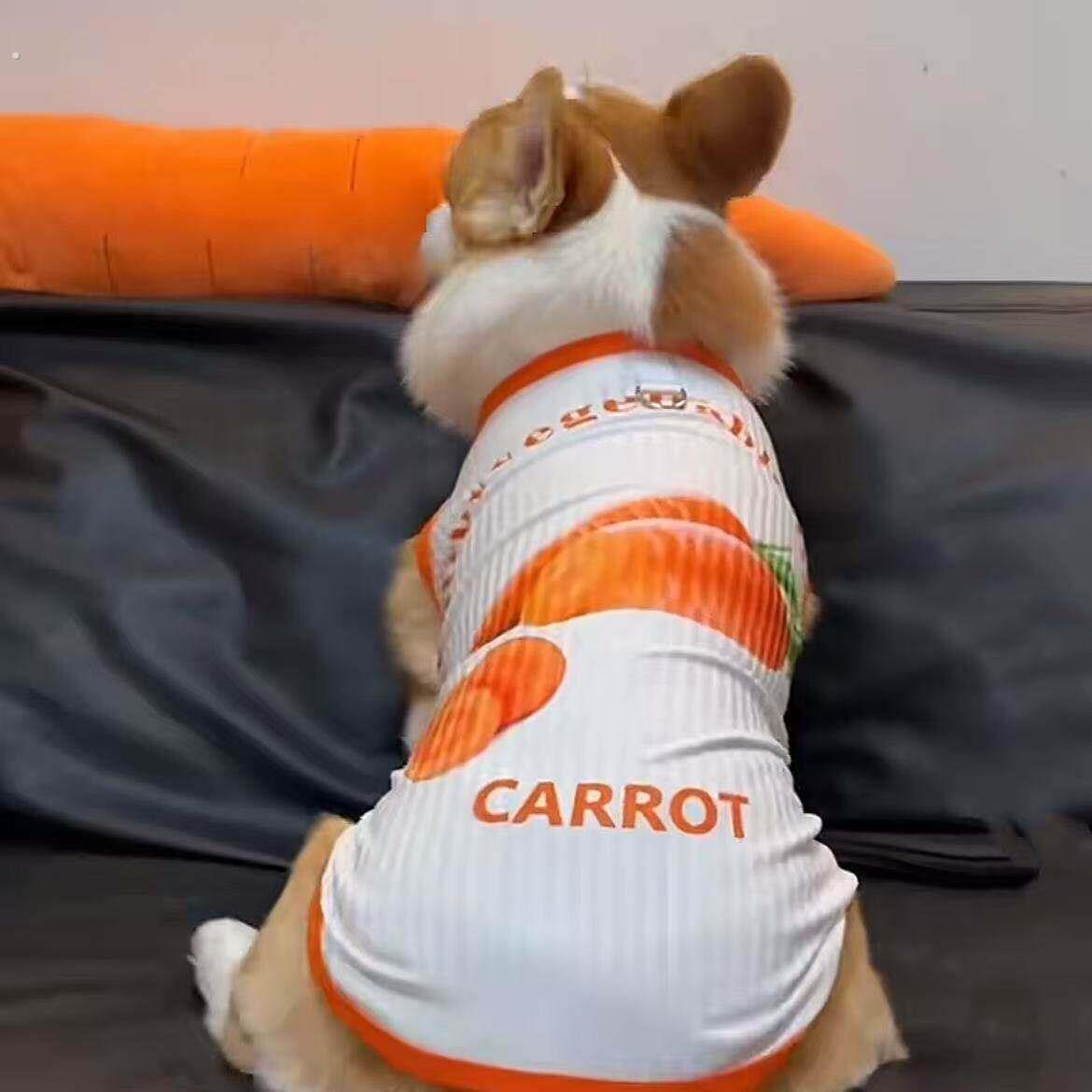 柯基柴犬法斗中型犬狗狗衣服夏季薄款冰丝防晒衣防掉毛凉凉衣背心