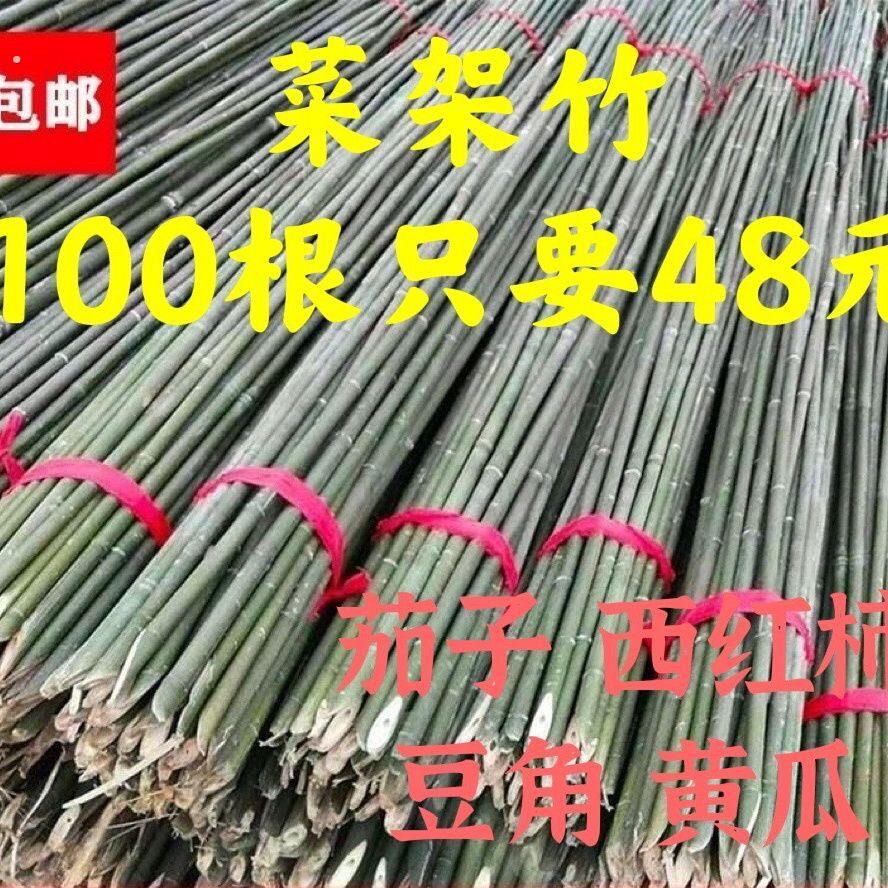 竹竿菜园搭架蔬菜爬藤支架黄瓜豆角篱笆栅栏细竹子