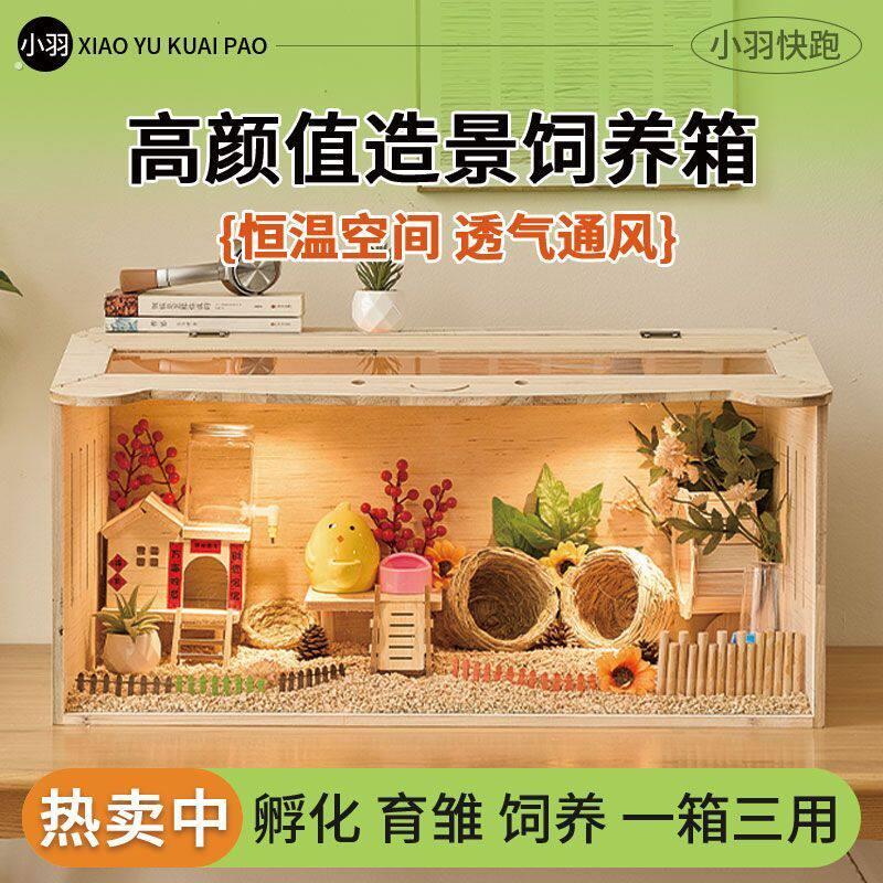 猫咪保温箱芦丁鸡宠物饲养箱保温箱幼鸡笼子育雏造景小屋全套卢丁