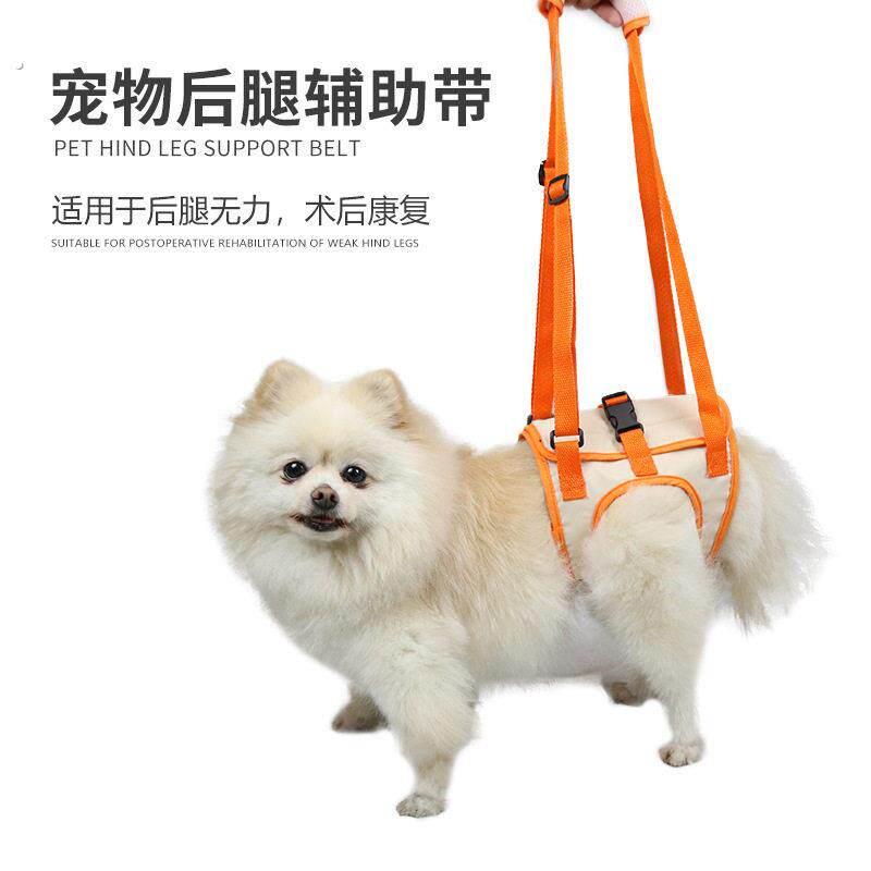 宠物后腿辅助带狗狗行走助力后肢带受伤辅助带老年犬身心障碍犬协