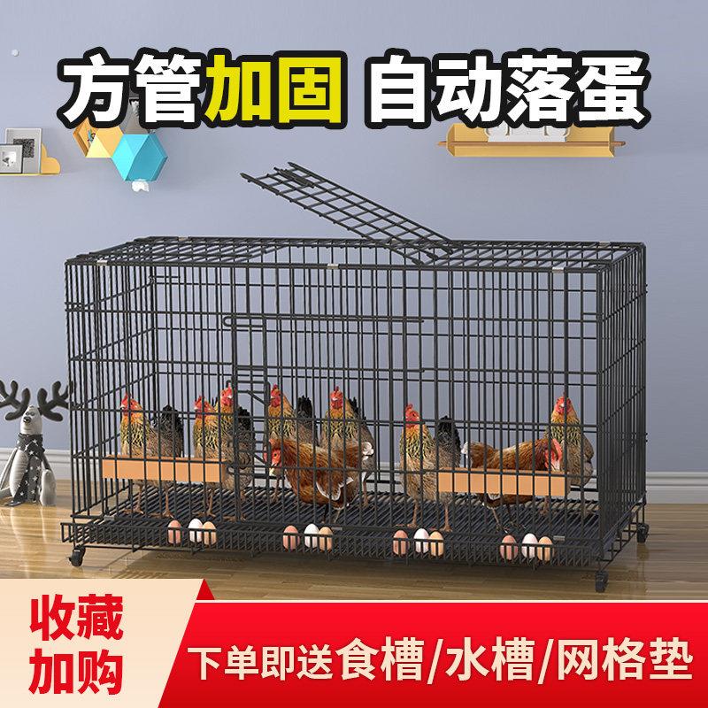 鸡笼子养殖笼家用大号特大号自动滚蛋清粪折叠养殖笼鸡舍鸡窝笼子