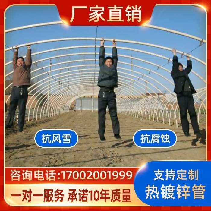 猪舍大棚养猪养鸡场养殖骨架大棚钢架户外温棚全套保羊圈牛棚钢管