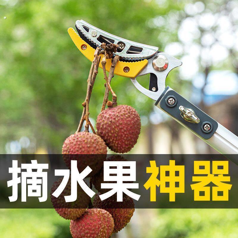 高空采摘新款果子高枝伸缩剪摘摘果杨梅龙眼摘果器枇杷荔枝神器