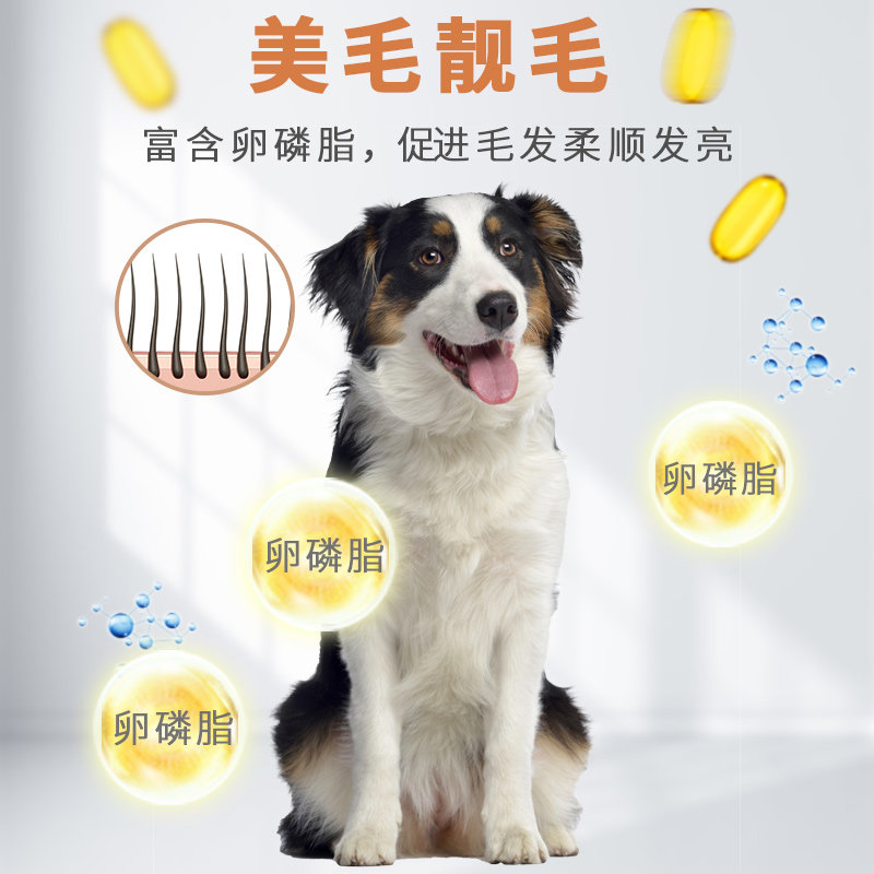 艾萨克边牧专用狗粮40斤装冻干犬粮幼犬成犬大包装美毛补钙牧羊犬