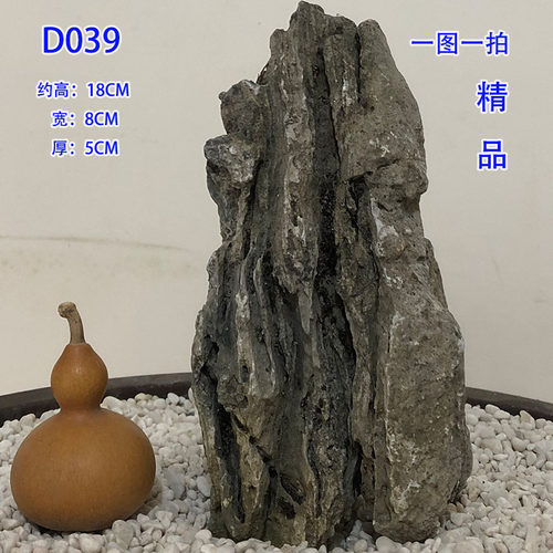 抱树石天然造景石客厅田园精品盆景桌面庭院附树石送礼装饰品摆件