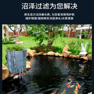 沼泽过滤箱周转箱鱼缸鱼池过滤器水池水净化循环系统滴流鱼菜共生