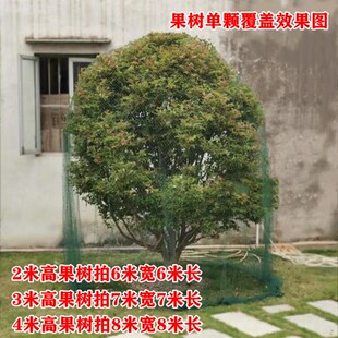 防鸟网罩樱桃网果树防鸟网果园尼龙网防护罩防雹网葡萄蔬菜家用网