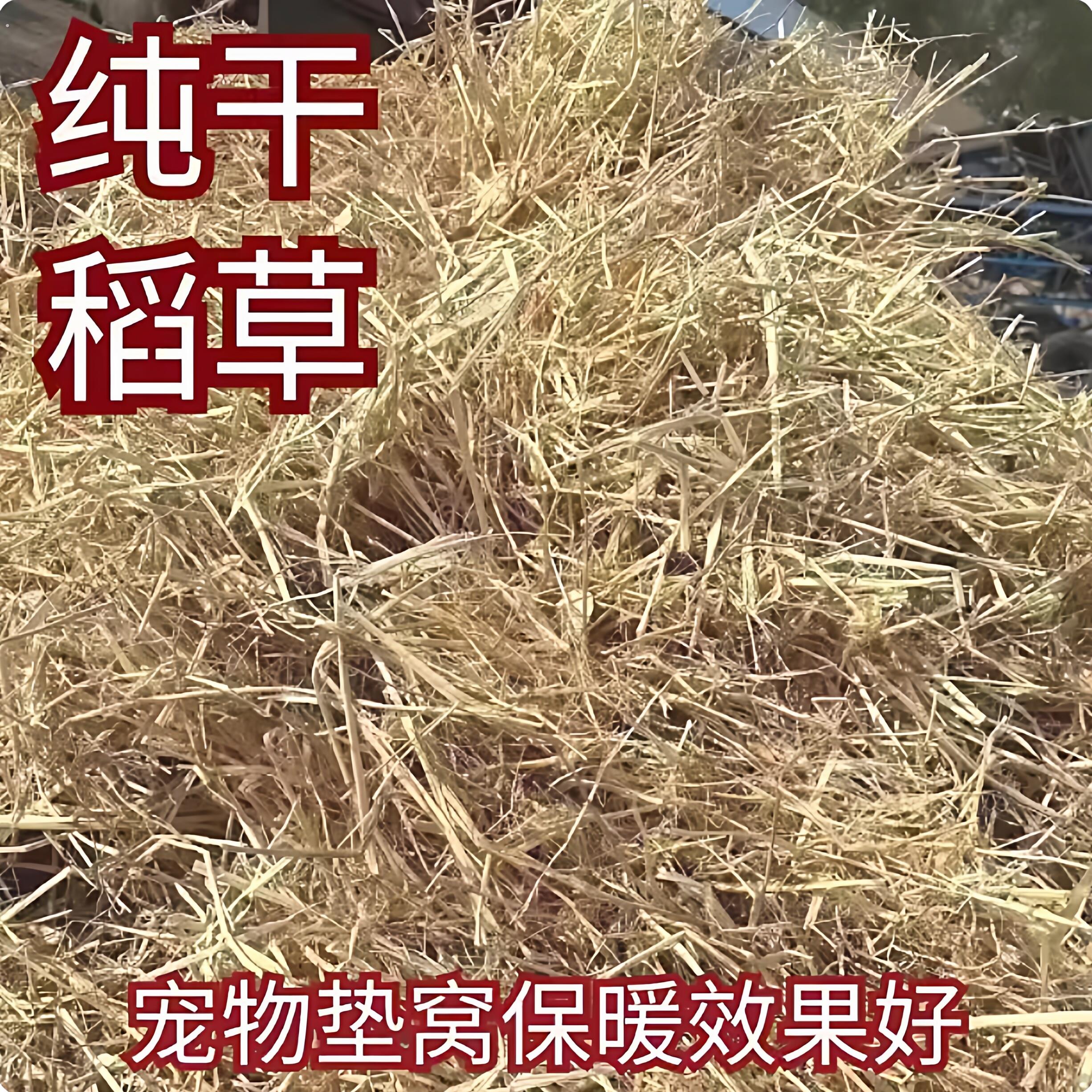 新稻草天然宠物鸡窝草干稻草牛羊猪饲料狗鸭窝草道具谷草秸秆