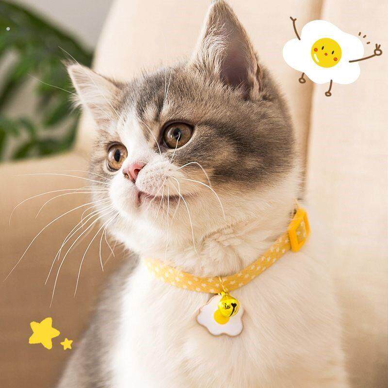 宠物猫咪狗狗项圈项链小猫项圈猫猫项圈小狗项圈小型犬可爱可调节