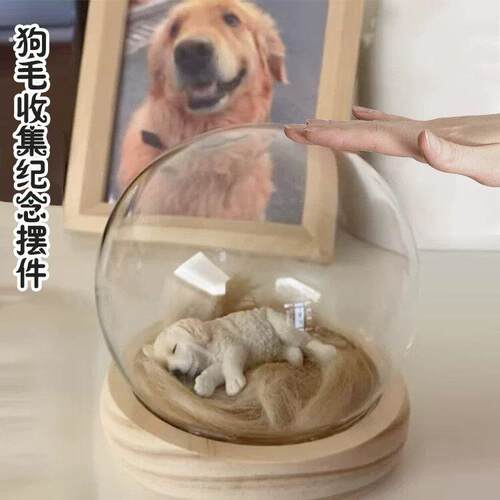 收纳胎发胡须牙齿收集储蓄玻璃罩防尘罩宠物毛发瓶木纹收集器