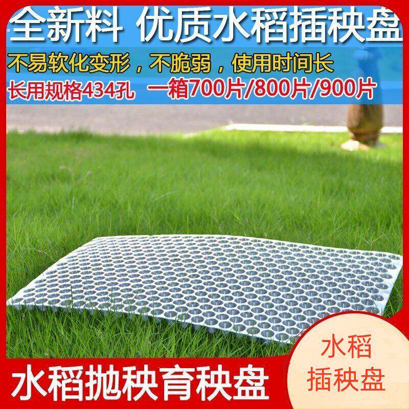 434孔手抛育秧盘透明塑料水稻育苗盆机插平盘塔式秧盘