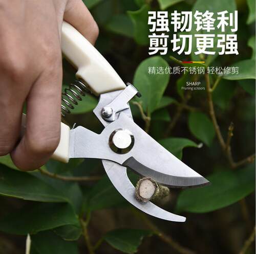 园艺剪刀修枝剪园林花园果木树枝修枝剪家用省力花剪神器园艺剪刀
