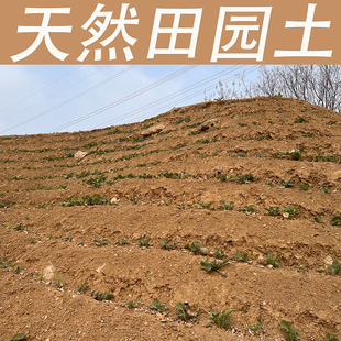 天然田园土壤种植土优质种菜专用通用营养花土碗莲盆栽树泥巴种树