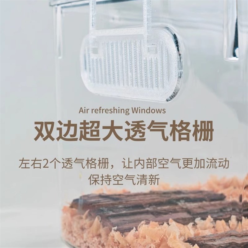 独角仙饲养盒甲虫饲养箱甲虫饲养盒独角仙饲养箱套装锹甲饲养盒图片