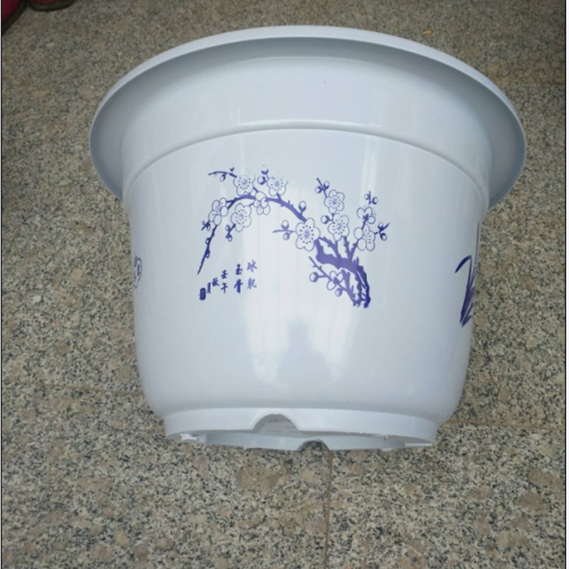 睡莲花卉盆栽白色塑料无孔有孔花盆果树盆包邮特大号圆形加厚花盆