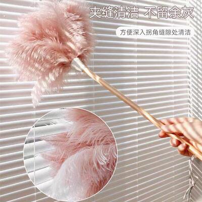真鸵鸟毛撢子钢琴清洁不掉毛加密除尘扫加厚鸡毛掸车用打扫卫生