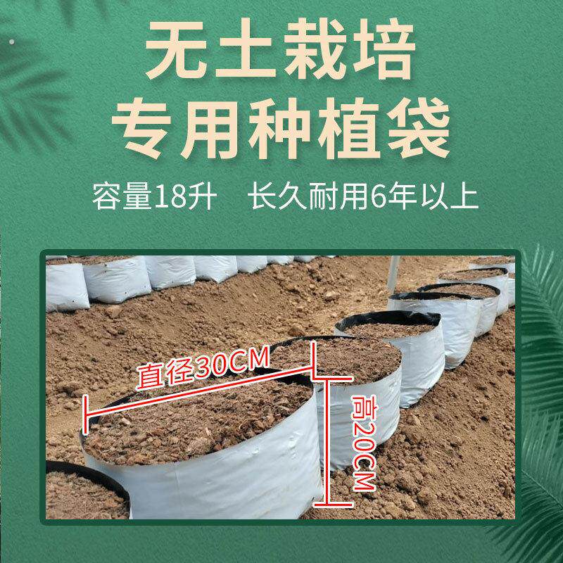 团队无土栽培专用聚丙烯塑料种植袋瓜果蔬菜通用加厚种植袋