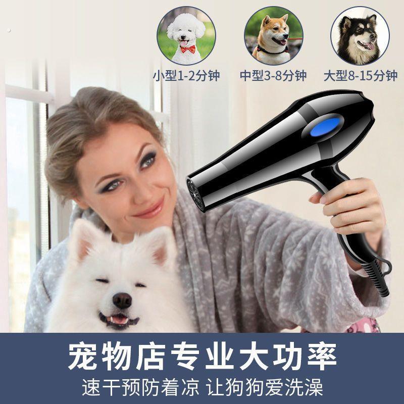 宠物吹风机大风力功率狗狗大中小型犬猫咪洗澡吹干吹毛神器吹水机