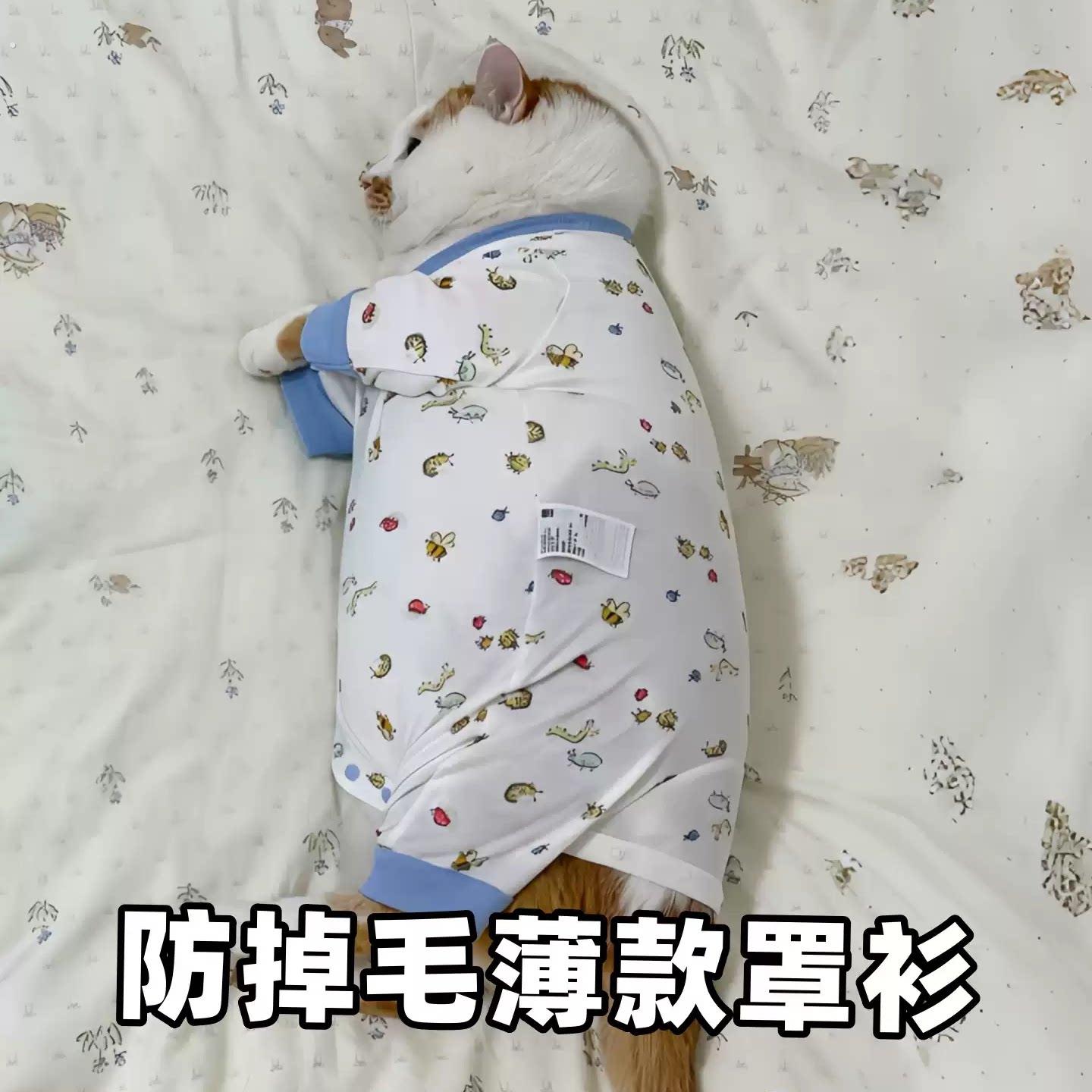 猫咪衣服防掉毛薄款夏季背心款狗狗清凉透气防晒衫宠物凉凉家居服