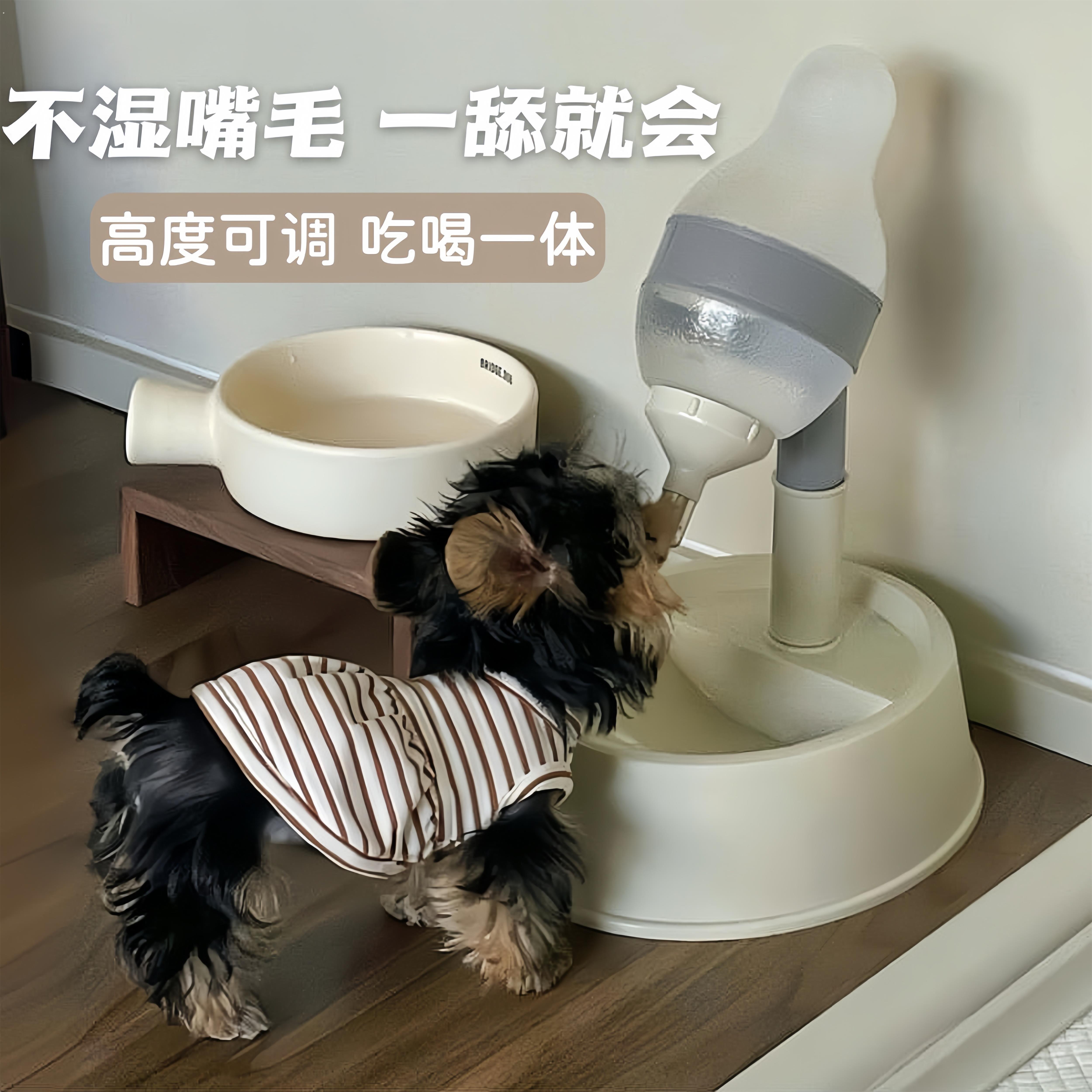 狗狗喝水器不湿嘴挂式可调节悬挂饮水机喂水水壶食碗泰迪宠物用品