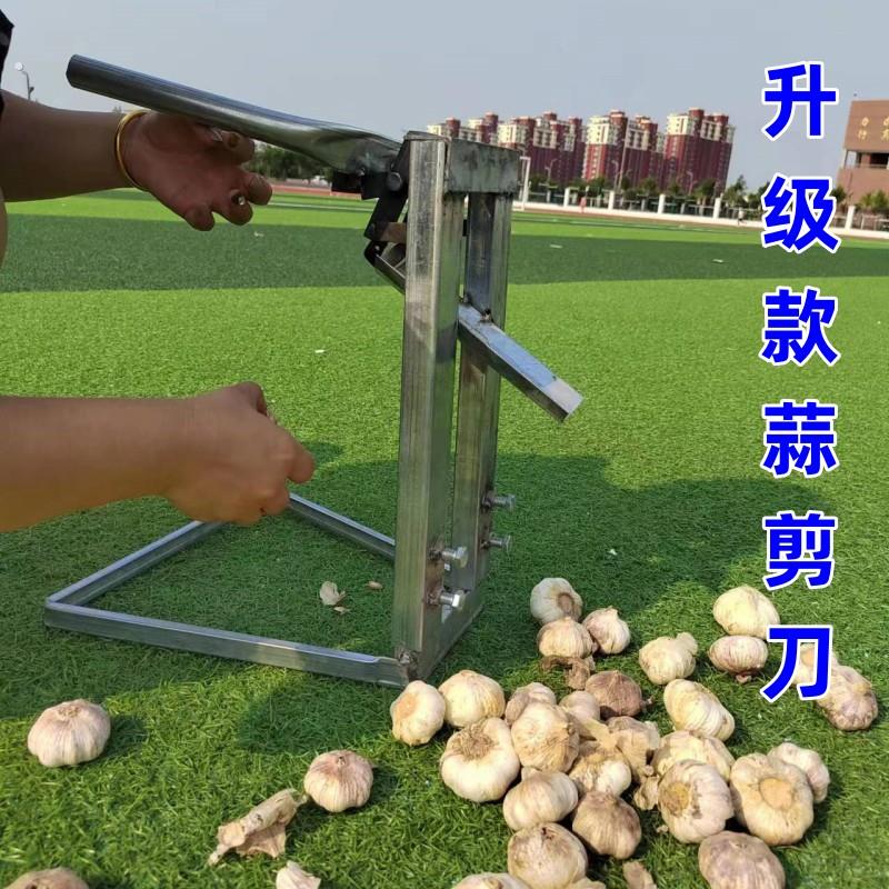 剪蒜须经典款工具可拆卸式大号专业大蒜加工农具