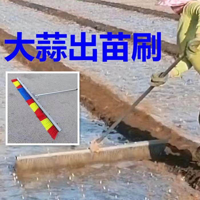 大蒜出苗刷大蒜出苗神器出大蒜出芽器破膜器人力破膜器推芽神器