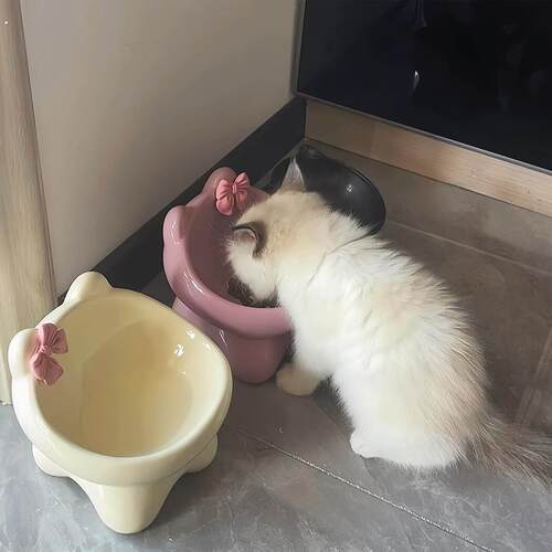 猫碗陶瓷碗可爱猫食盆喝水猫粮罐头保护颈椎不易打翻防黑下巴狗碗