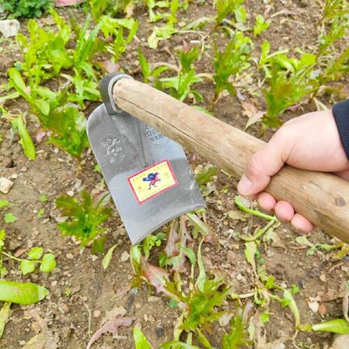 弹簧钢锄头加厚锻打开荒挖笋条锄农用家用多功能老式旧全锰钢锄头