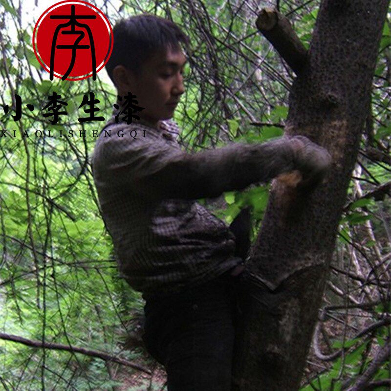 天然生漆/正宗大漆/优质土漆 国漆黑亮硬 漆农亲手采割