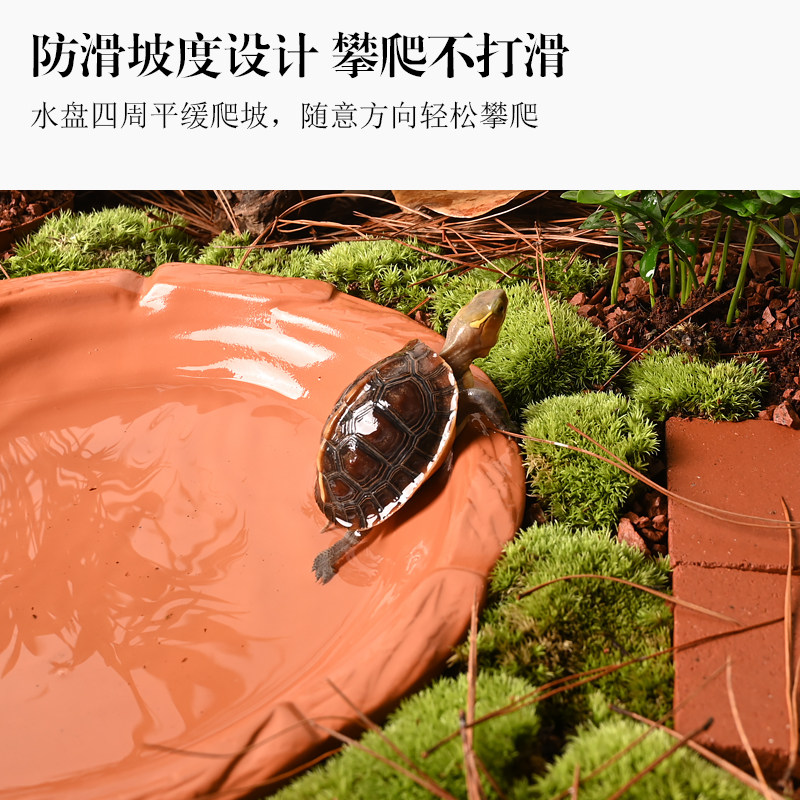 黄缘乌龟专用分体式饮水泡澡盆安缘台缘喝水盆半水龟生态造景用品