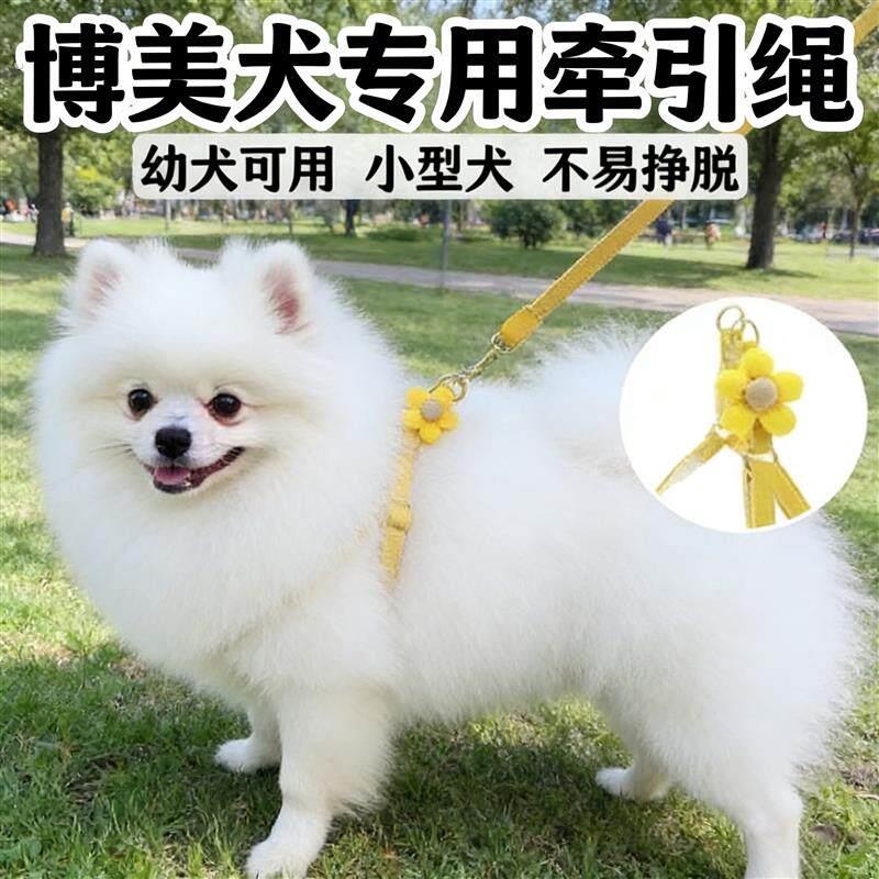 博美犬专用牵引绳小型犬小体幼犬可调节遛狗绳链子宠物出行用品