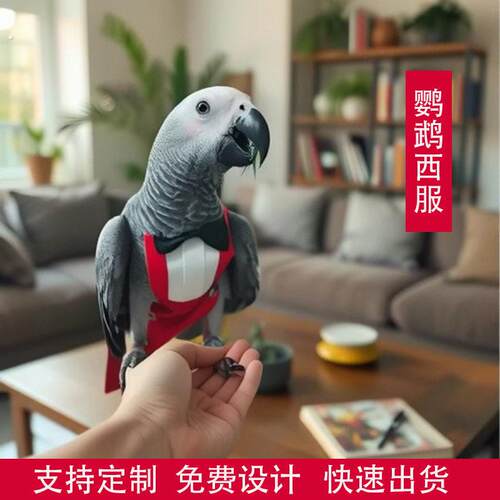 鹦鹉屁兜便兜尿不湿屎拉屎鸟小太阳小鸟衣服虎皮鹦鹉牡丹鹦鹉专用