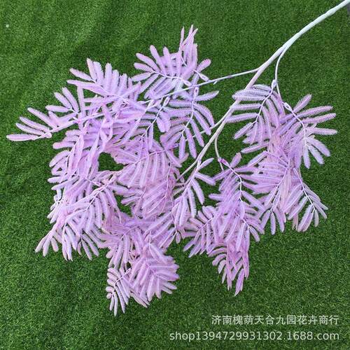 彷真迷雾害羞丑草 大支 彷真植物 彷真叶子 婚庆婚礼家居摄影装.