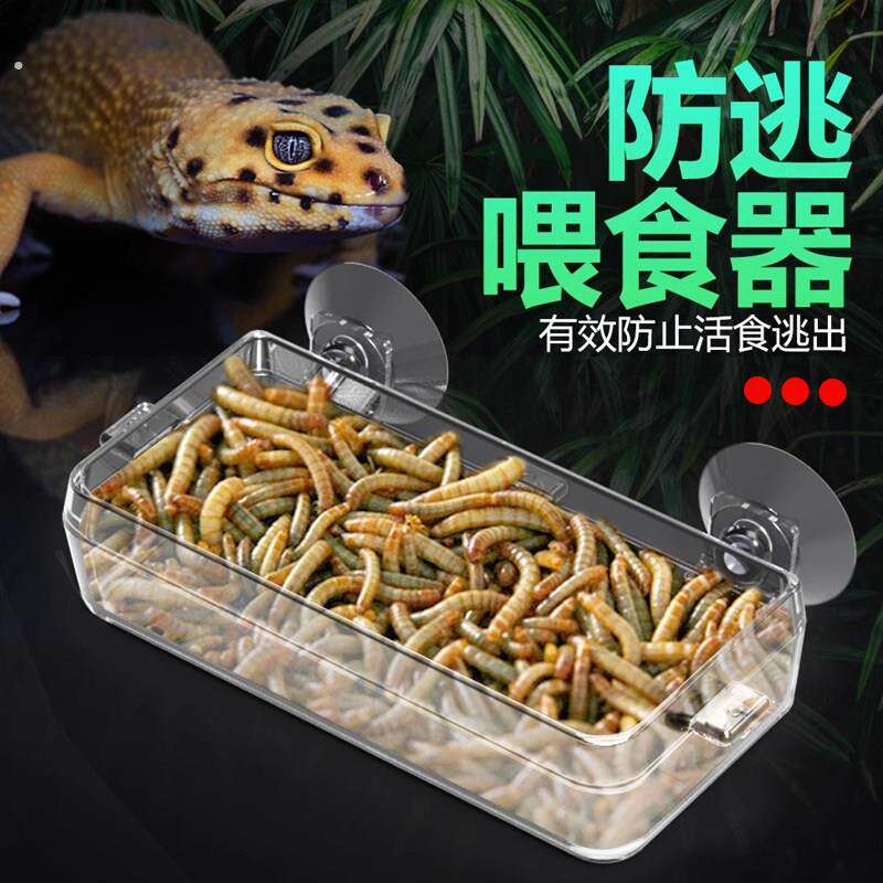 爬宠虫吸盘喂食防逃食盆水盆爬虫鬃狮睫角树蛙仓鼠透明悬挂式