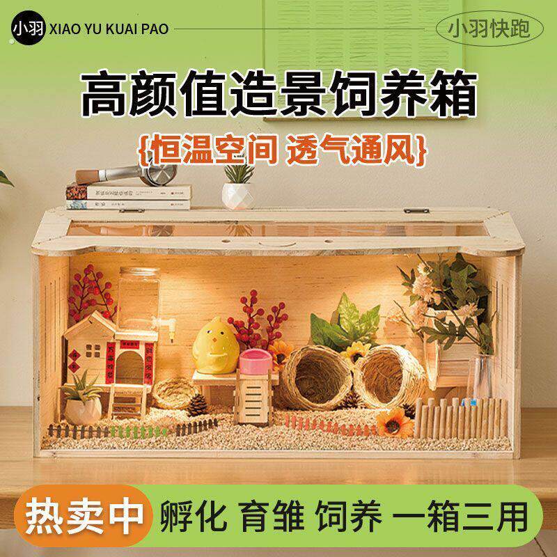猫咪保温箱芦丁鸡宠物饲养箱保温箱幼鸡笼子育雏造景小屋全套卢丁