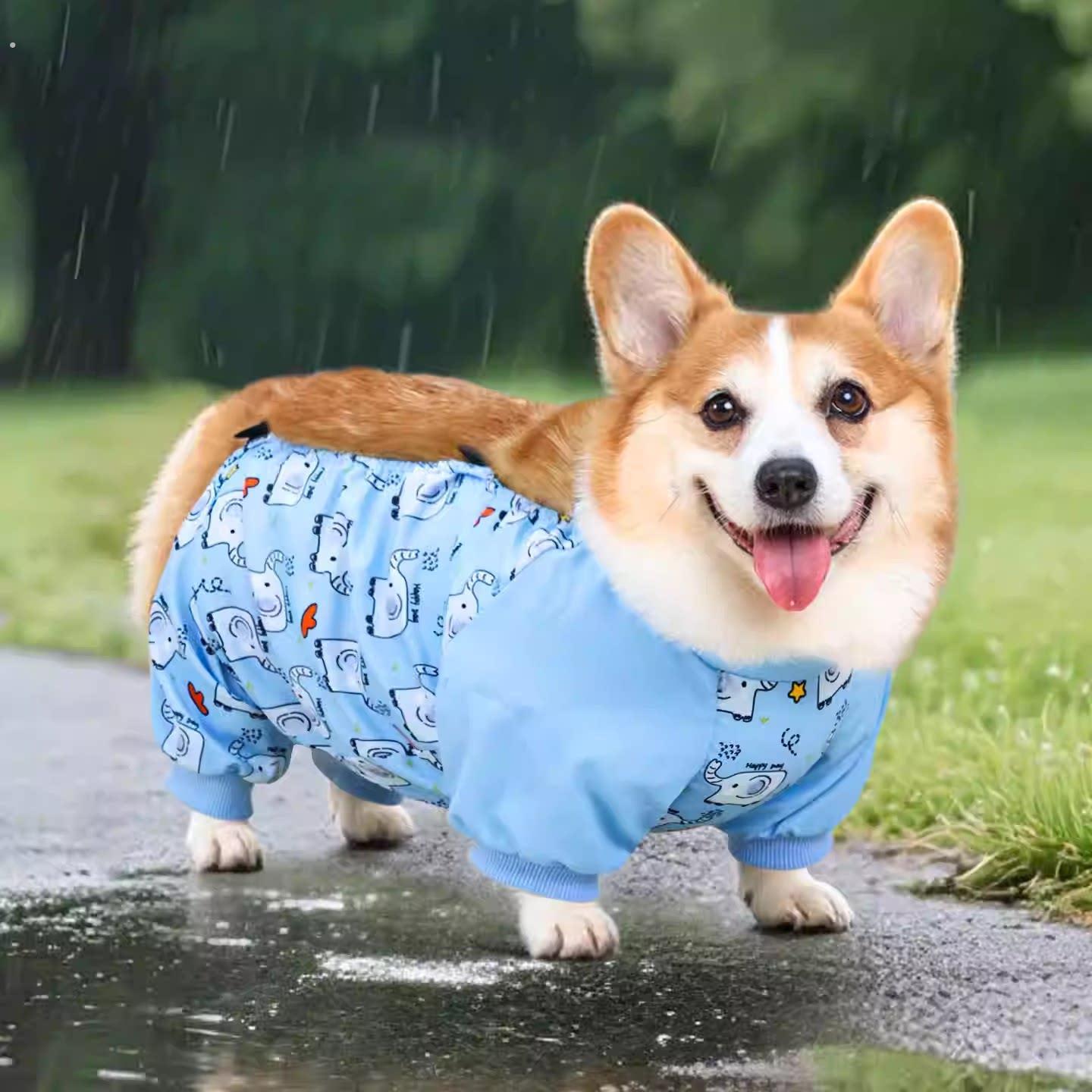 宠物狗狗雨衣防水防脏肚兜柯基四脚衣护肚中型犬雪纳瑞防尘裤衣服