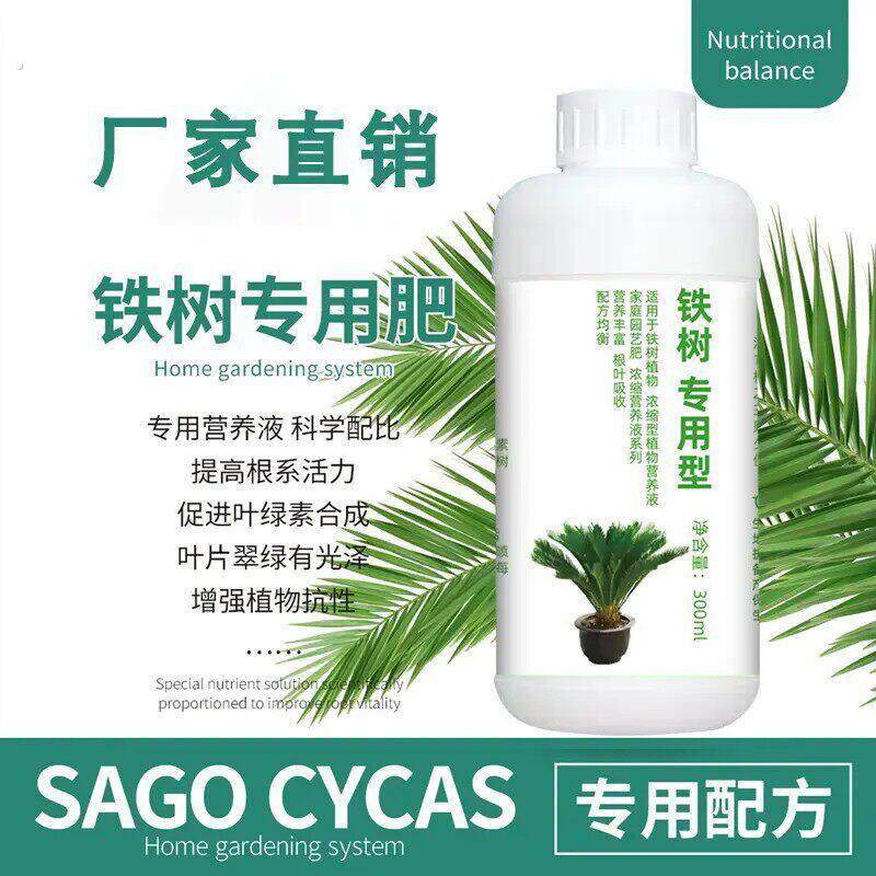 铁树植物铁树盆景肥料苏铁树盆栽专用复合肥料防黄叶干枯