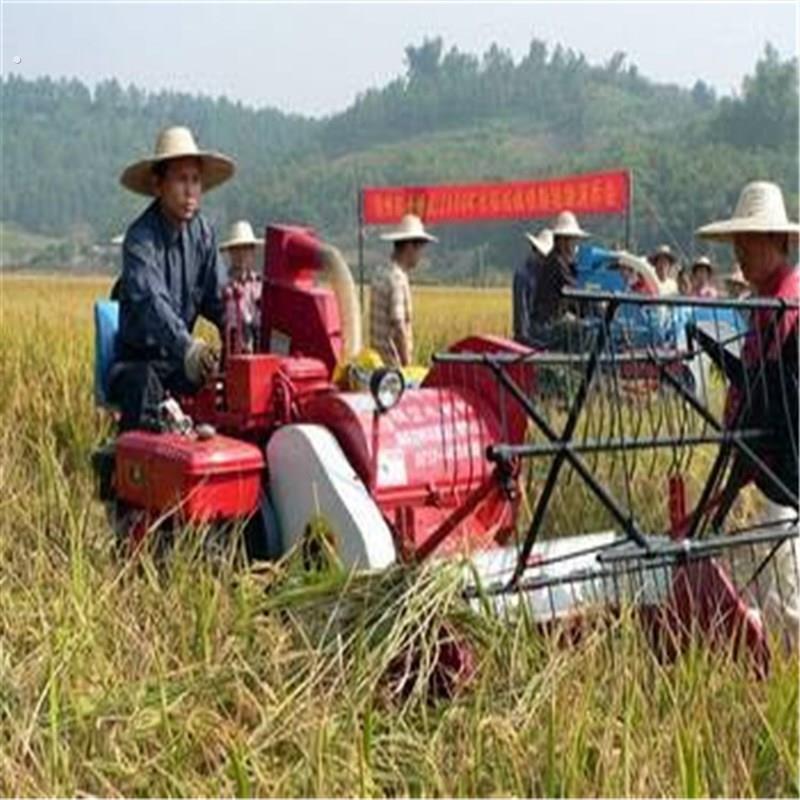 单人座驾式履带式水稻收割机 小麦收割脱粒机 稻麦联合收割机