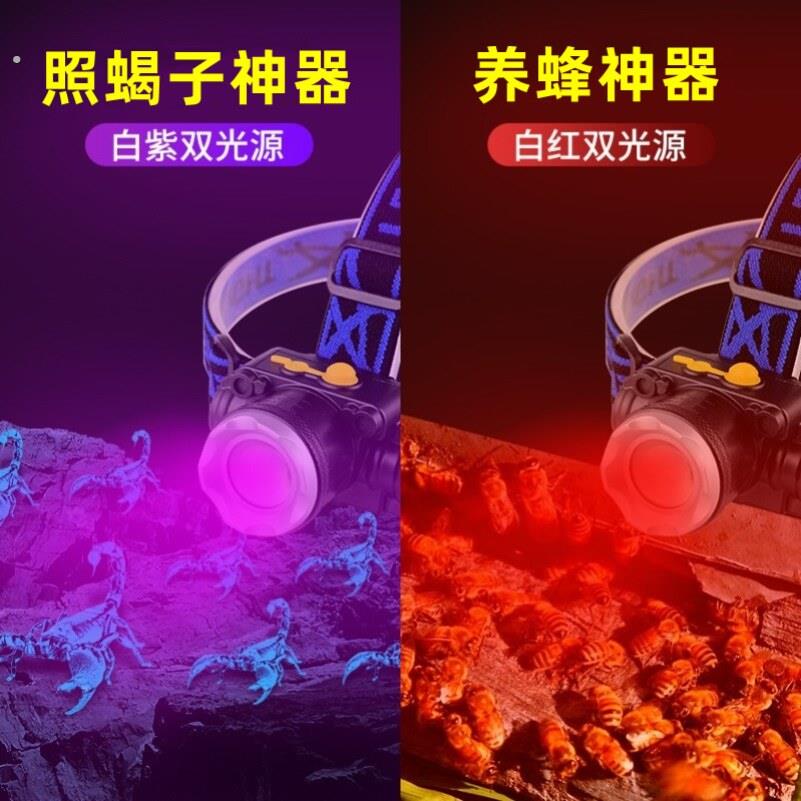 红光头灯养蜂专用查蜂工具红白双光源头戴式充电强光探照感应灯